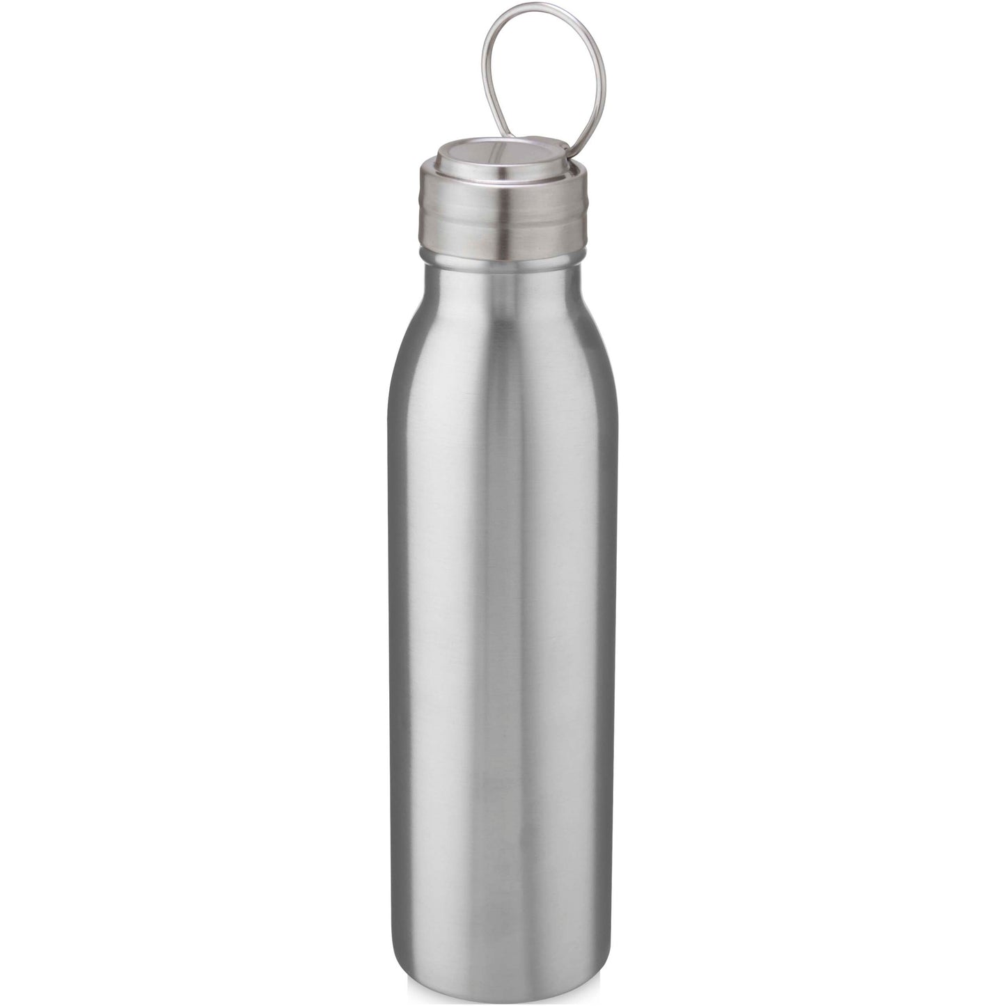 Harper 700 ml sportflaska i rostfritt stål med metalloop