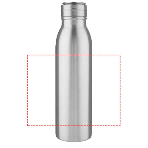 Harper 700 ml sportflaska i rostfritt stål med metalloop