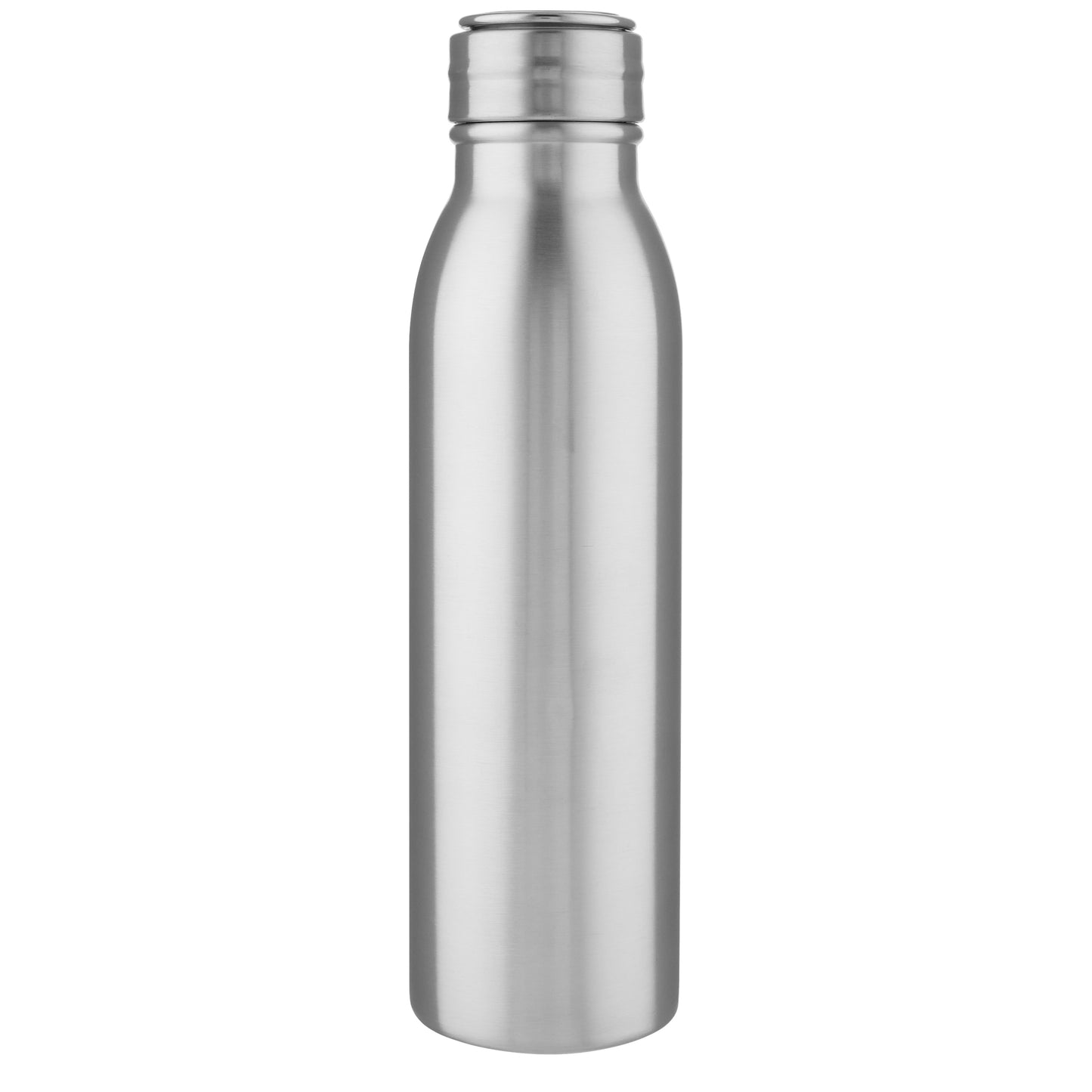 Harper 700 ml sportflaska i rostfritt stål med metalloop