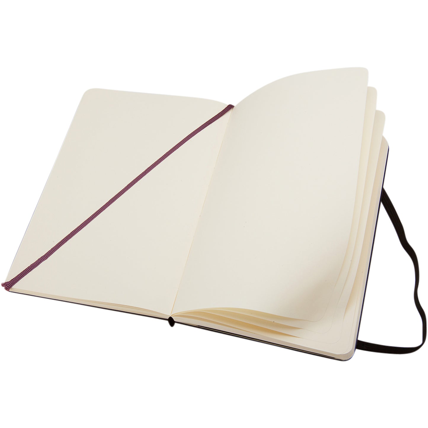 Moleskine Classic L inbunden anteckningsbok – blank