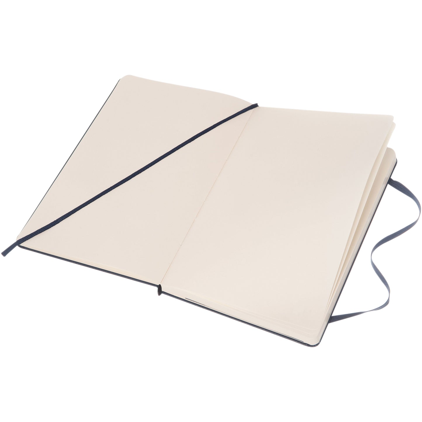 Moleskine Classic L inbunden anteckningsbok – blank