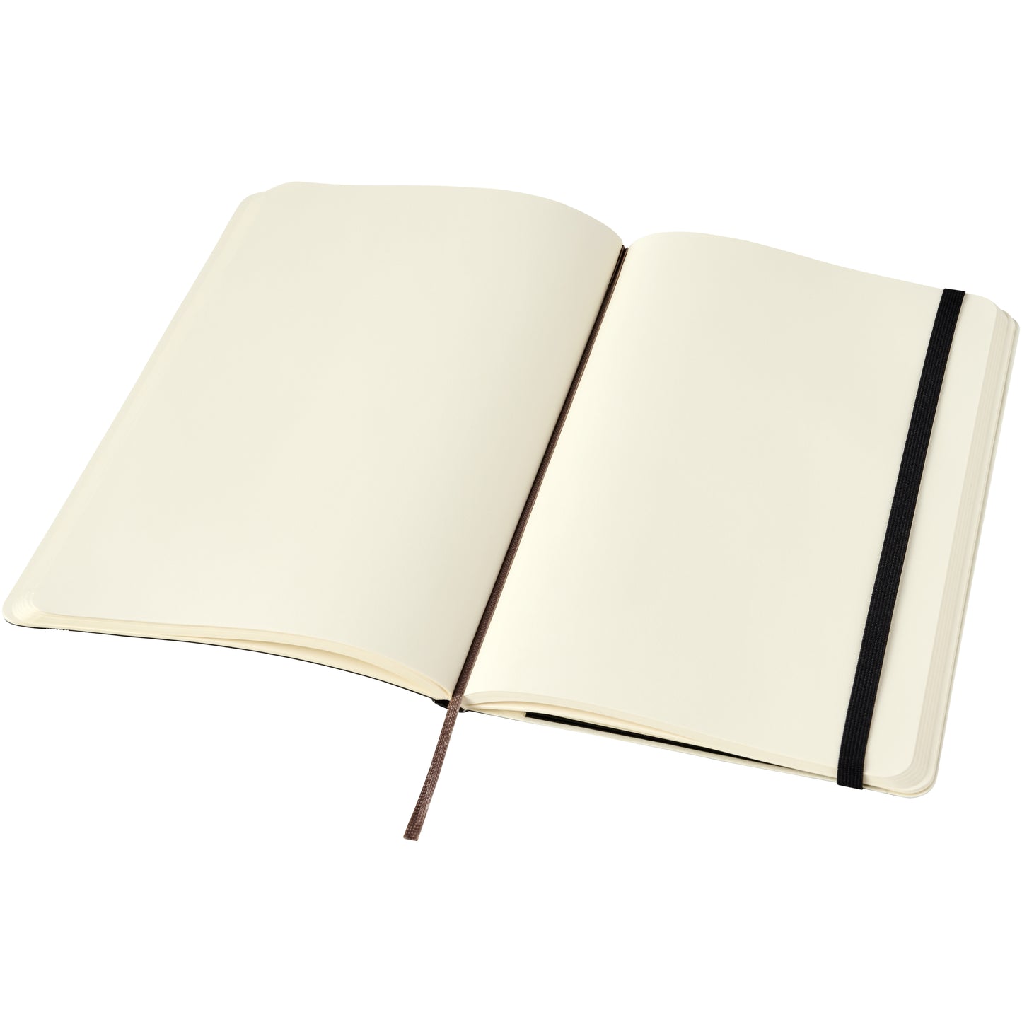 Moleskine Classic L anteckningsbok med mjukt omslag – blanka sidor