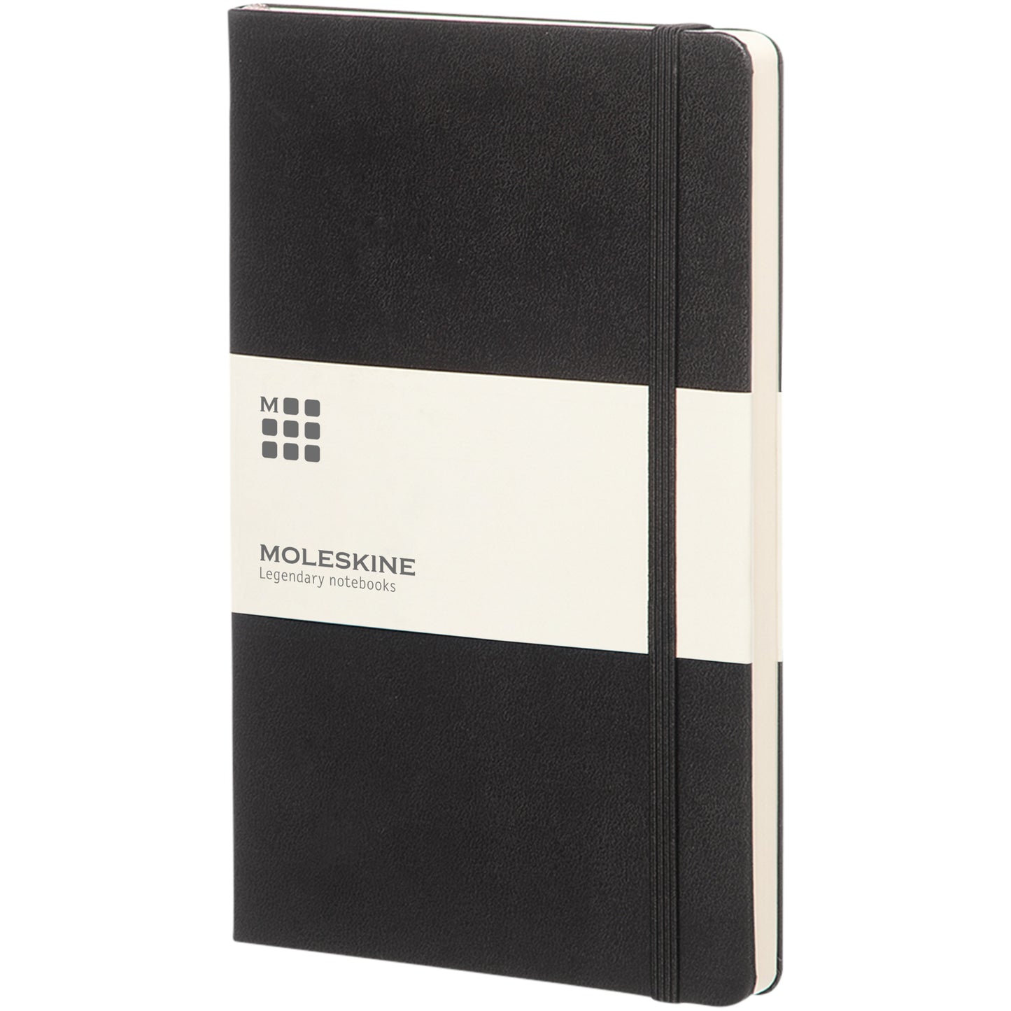 Moleskine Classic L inbunden anteckningsbok – prickad