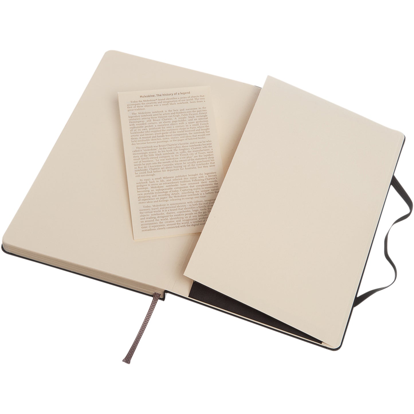 Moleskine Classic L inbunden anteckningsbok – prickad