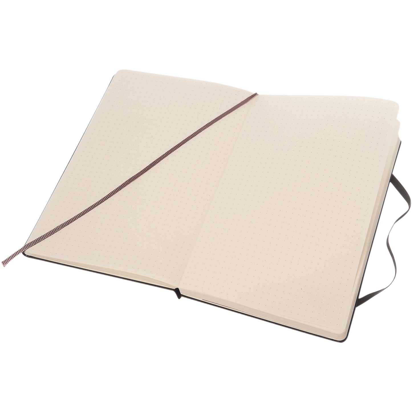 Moleskine Classic L inbunden anteckningsbok – prickad
