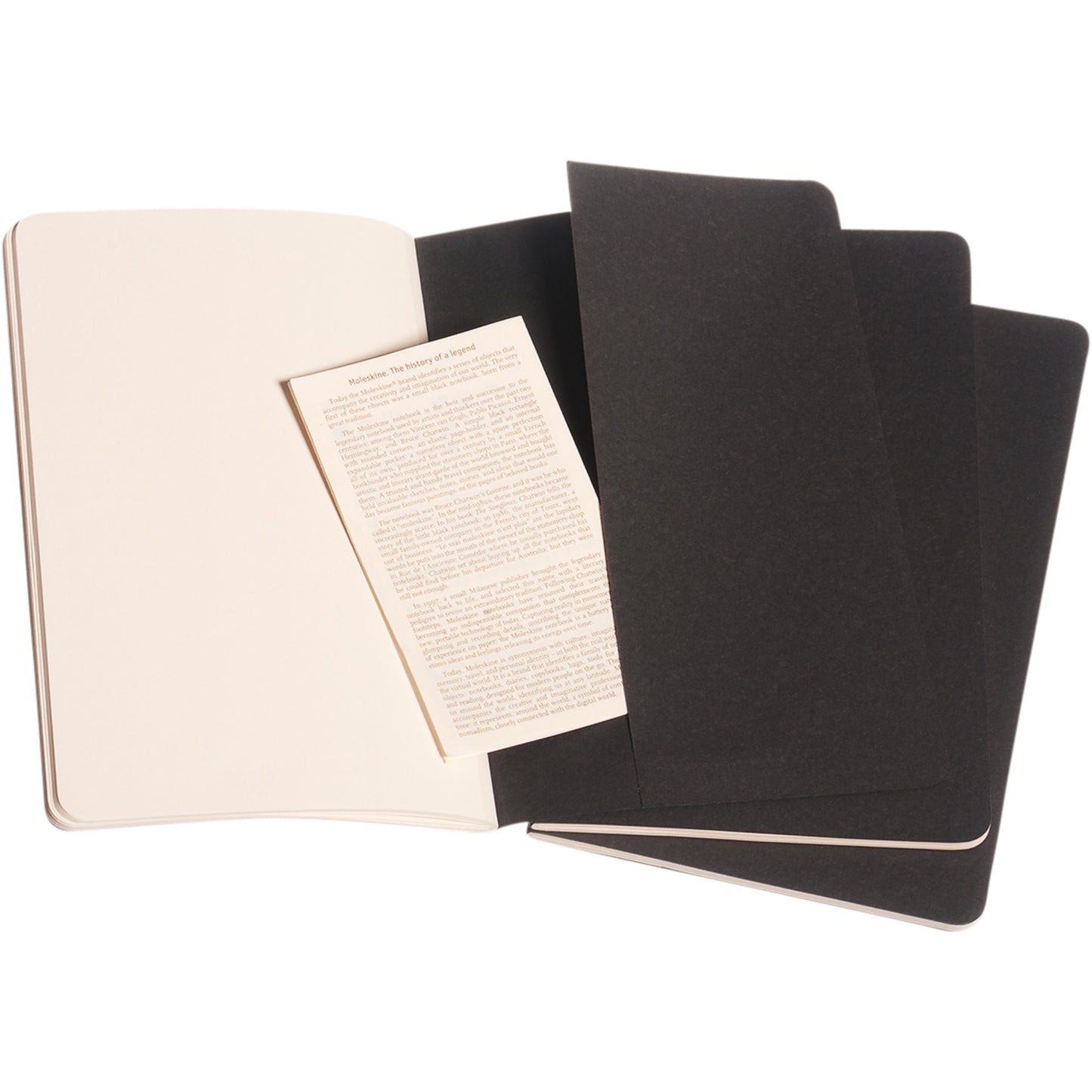 Moleskine Cahier Journal L – blankt papper