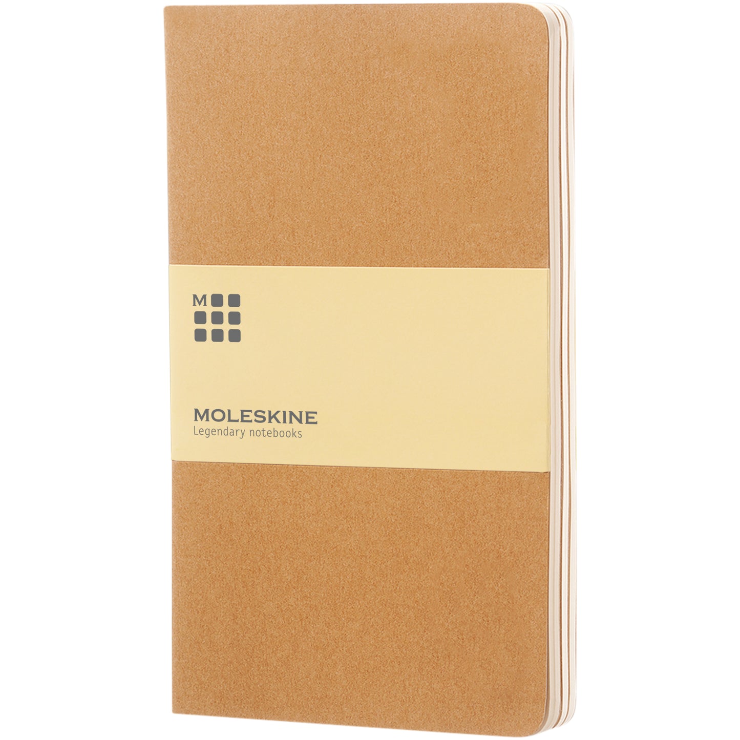 Moleskine Cahier Journal L – blankt papper