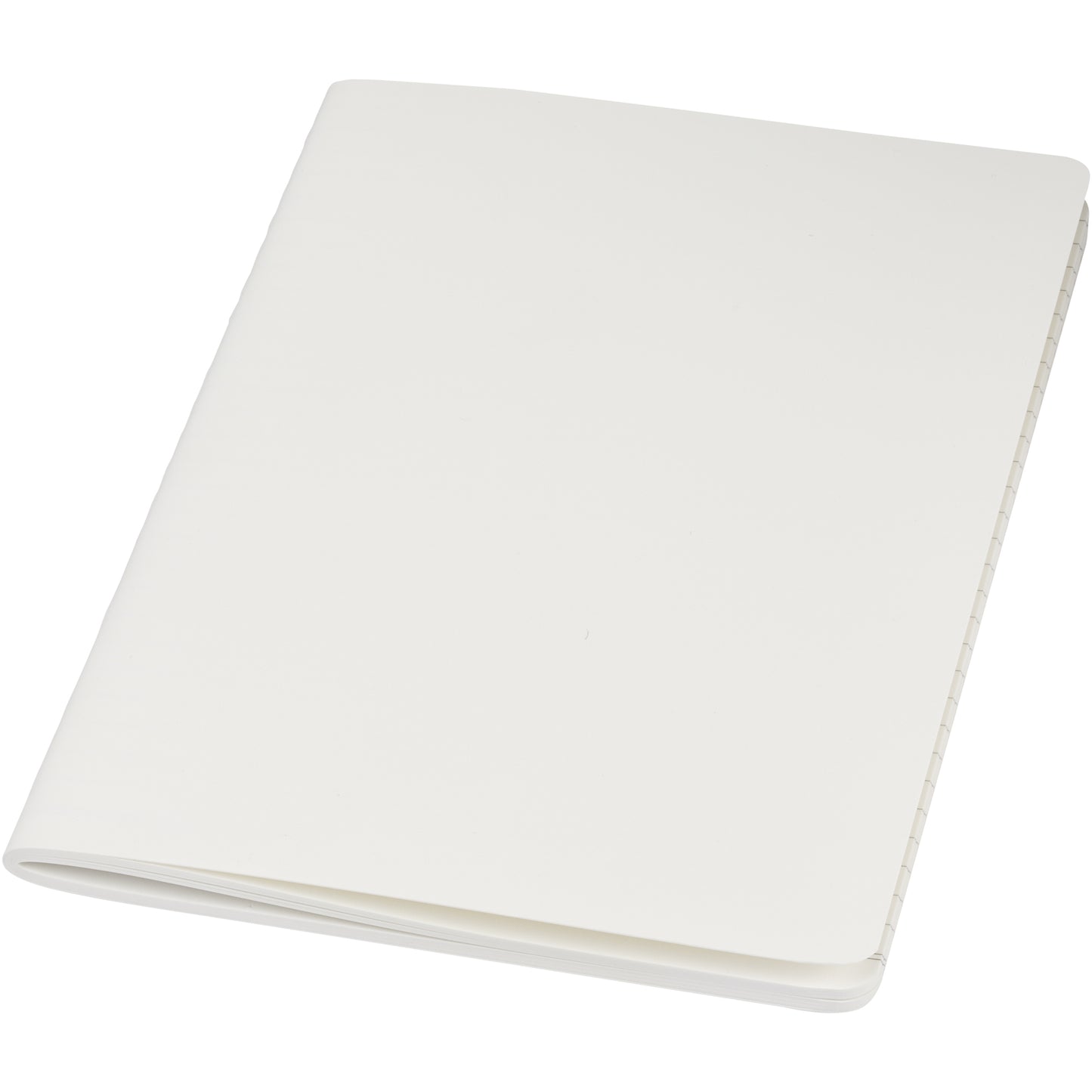 Shale cahier dagbok i stenpapper