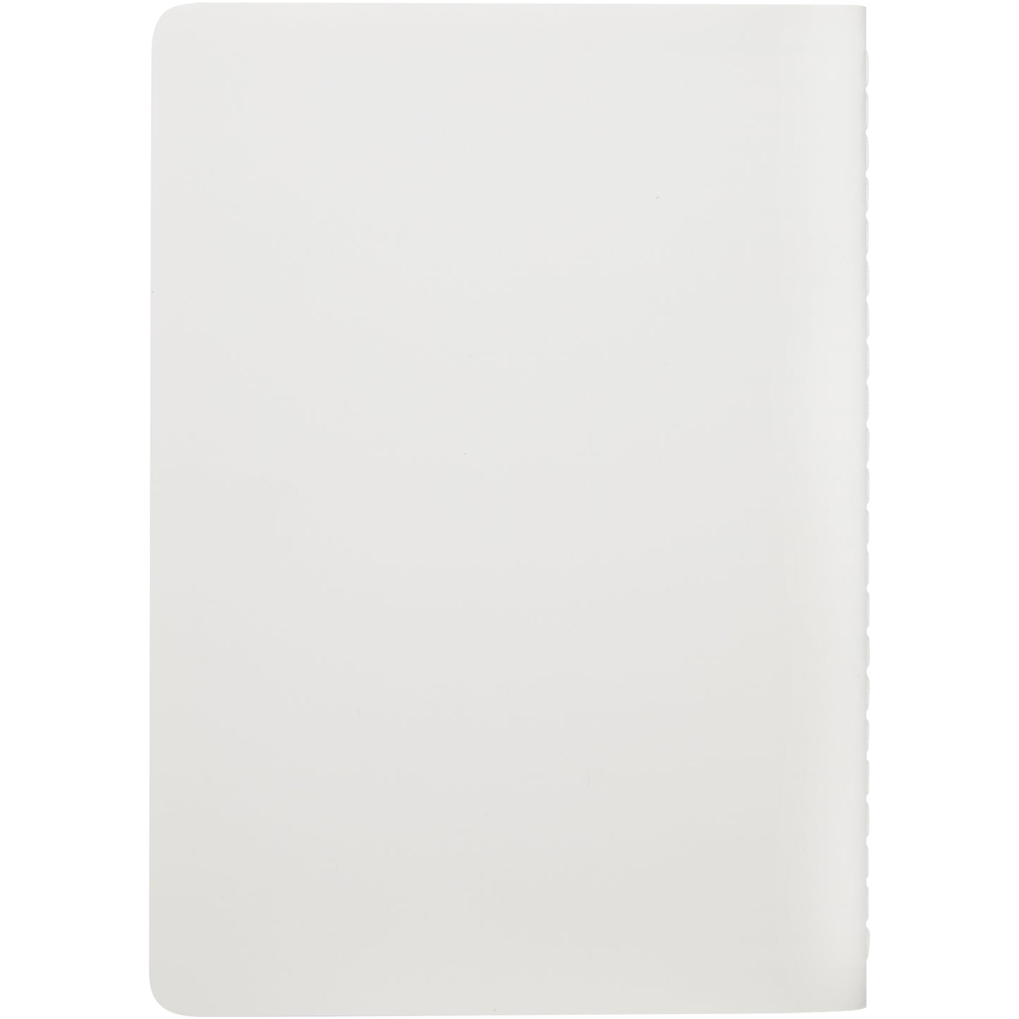 Shale cahier dagbok i stenpapper