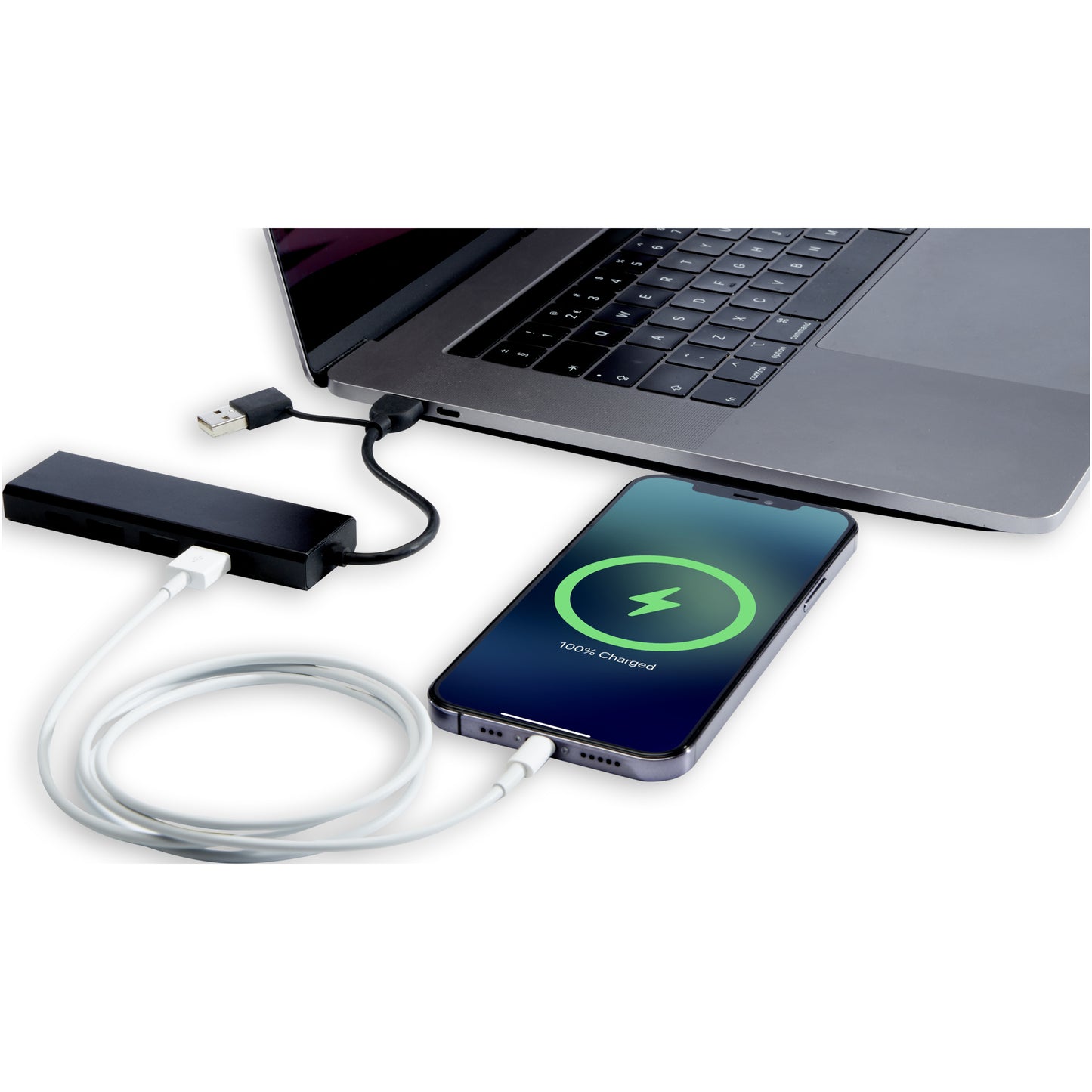 Rise USB 2.0-hubb av RCS-återvunnen aluminium