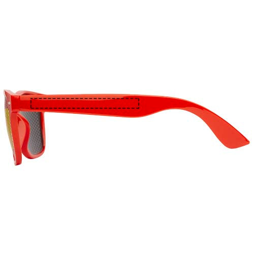 Vision solglasögon