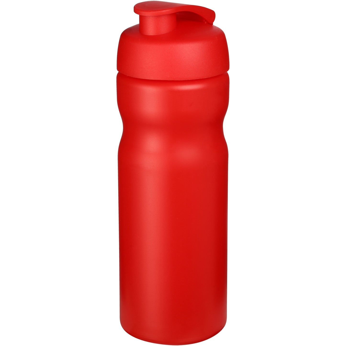Baseline® Plus 650 ml sportflaska med uppfällbart lock