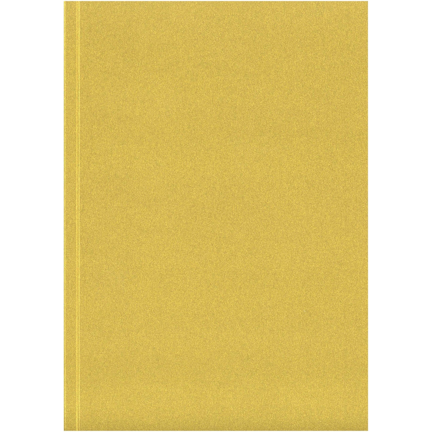 Novella Austen A5 anteckningsbok med mjukt metallomslag – 100 ark