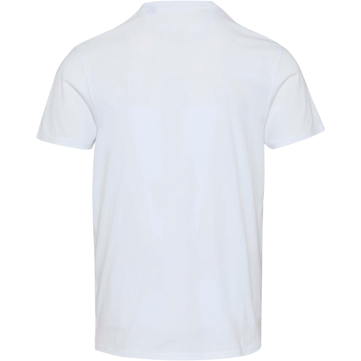 Azurite 160 g/m² kortärmad unisex-T-shirt av ekologiskt OCS-material