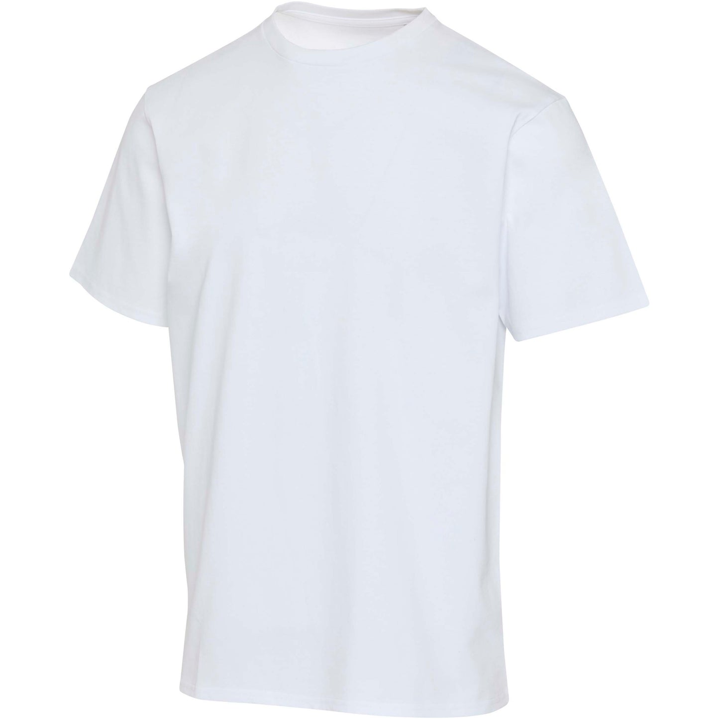 Lucas 280 g/m2 unisex-oversized T-shirt av ekologiskt OCS-material