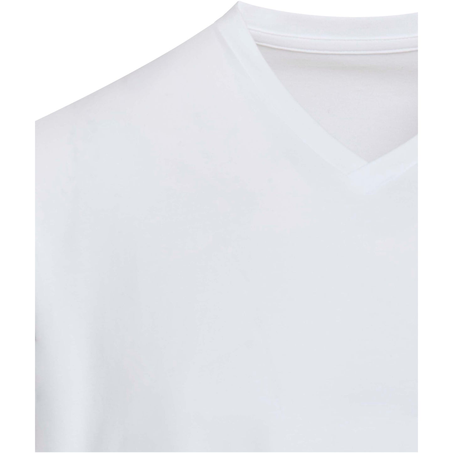 Balfour 200 g/m² kortärmad v-ringad unisex-T-shirt av ekologiskt OCS-material