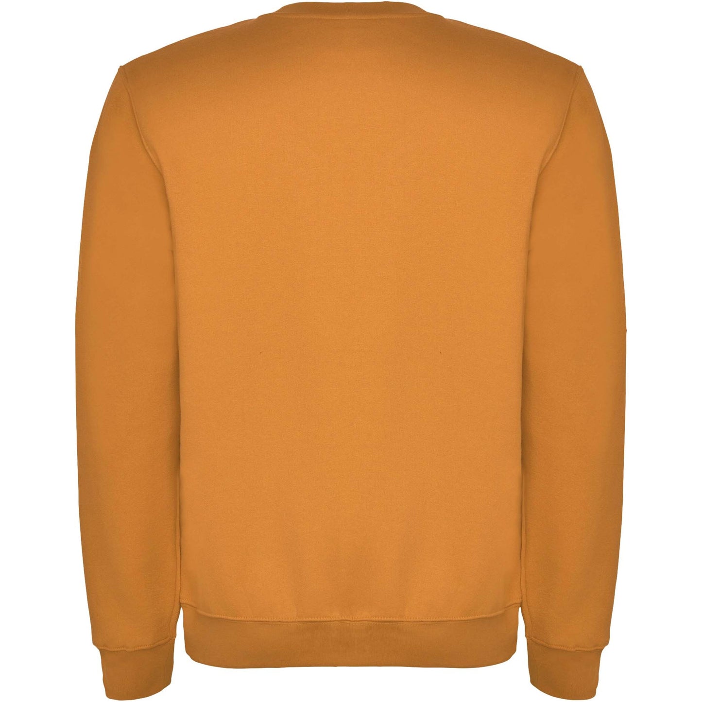 Clasica unisex tröja med rund hals